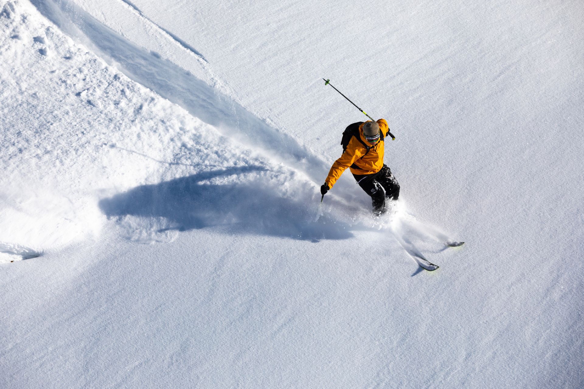 Skiër in verse poedersneeuw